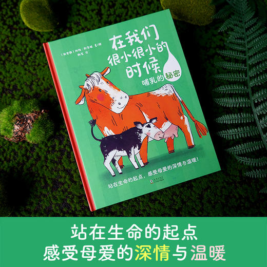在我们很小很小的时候：哺乳的秘密 商品图2