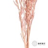 永生花材 | 橙菠萝粉色 商品缩略图3