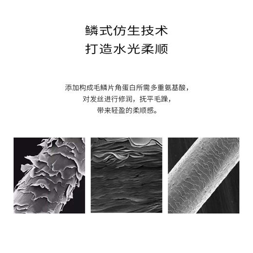 【首品专享】浴见-红松籽轻盈洗发露（松间照）/红松籽柔顺洗发露（香辛柏）洗发水洗发膏洗头 商品图5