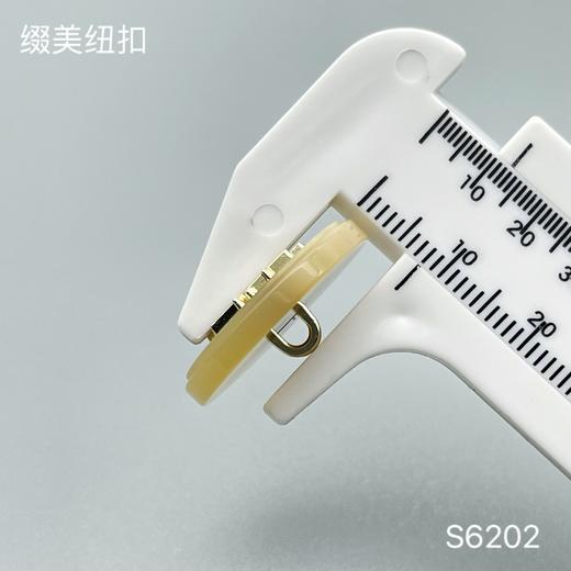 S6202(整包购买) 商品图4