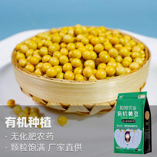 有机黄豆800g 商品图2