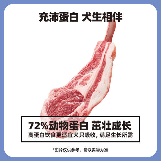 伯纳天纯经典中大型犬幼犬成犬老年犬专用狗粮15kg金毛边牧萨摩耶通用型大袋 商品图1