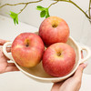【黄肉红皮】山东晚熟红富士苹果 4.5斤彩箱装 商品缩略图0