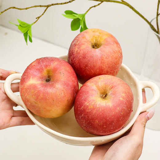 【黄肉红皮】山东晚熟红富士苹果 4.5斤彩箱装 商品图0