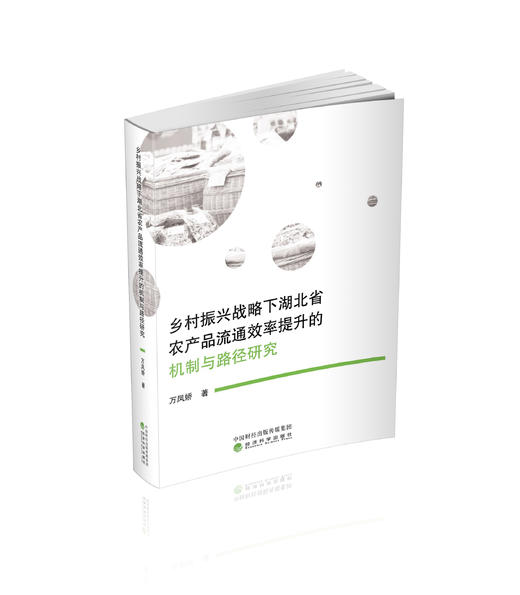 乡村振兴战略下湖北省农产品流通效率提升的机制与路径研究 商品图0