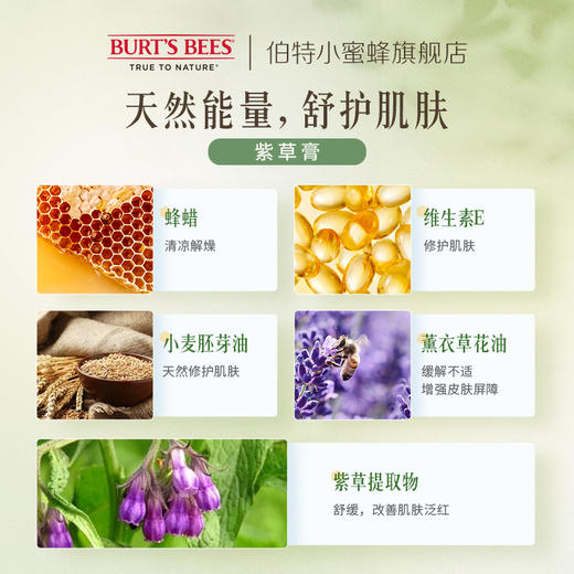 美国Burt's Bees伯特小蜜蜂紫草膏/积雪草棒 商品图3