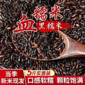 【买2送1，农家血糯米500g】当季新米现发，口感软糯，颗粒饱满，黑糯米粘米煲粥做粽子煮粥黏五谷杂粮