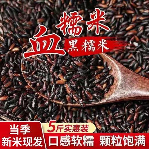 【买2送1，农家血糯米500g】当季新米现发，口感软糯，颗粒饱满，黑糯米粘米煲粥做粽子煮粥黏五谷杂粮 商品图0