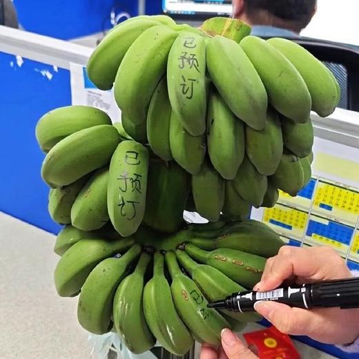 【禁止蕉绿】水培小米蕉约5斤 可水培 商品图2