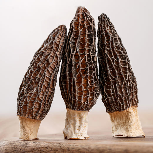 隐岭·野生羊肚菌 商品图1