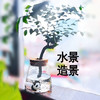 熊猫屋PANDAHOUSE 筷托小摆件1只装 商品缩略图2