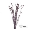 永生花材 | 郁金香紫色 商品缩略图1