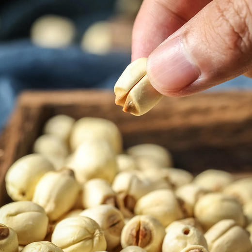 隐岭·五夫白莲 商品图1