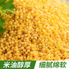 【买2送1，农家自产黄小米】一年一季，米油丰富，新鲜香糯，软糯好吃！新米黄米粥食糯小米粥五谷杂粮粗粮 商品缩略图4