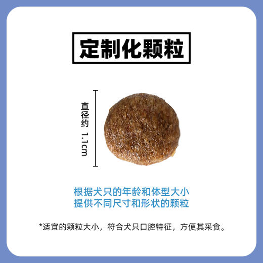 伯纳天纯经典中大型犬幼犬成犬老年犬专用狗粮15kg金毛边牧萨摩耶通用型大袋 商品图2