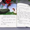 快乐读书吧二年级下(神笔马良、愿望的实现、金波作品集) 彩绘插图版(全3册) 商品缩略图3