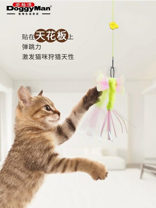 多格漫猫咪吊绳蜻蜓玩具  猫咪自嗨玩具  自由悬挂 偏远地区勿拍 商品图2