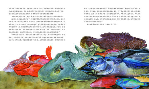 海底两万里 （精装） 商品图2