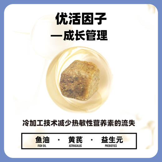 伯纳天纯经典中大型犬幼犬成犬老年犬专用狗粮15kg金毛边牧萨摩耶通用型大袋 商品图5