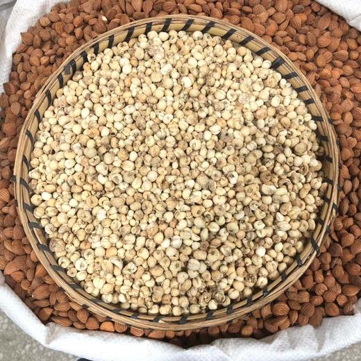 川贝  川贝母 商品图2