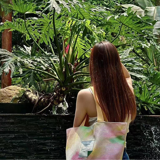 星巴克星冰粽*8枚（送冰逸款绿色/冰尚款粉色帆布包） 商品图3