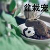 熊猫屋PANDAHOUSE 筷托小摆件1只装 商品缩略图1