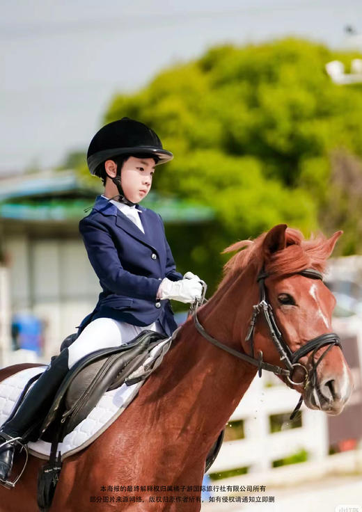 【上海马术营】走进骑士精神5日游 商品图2