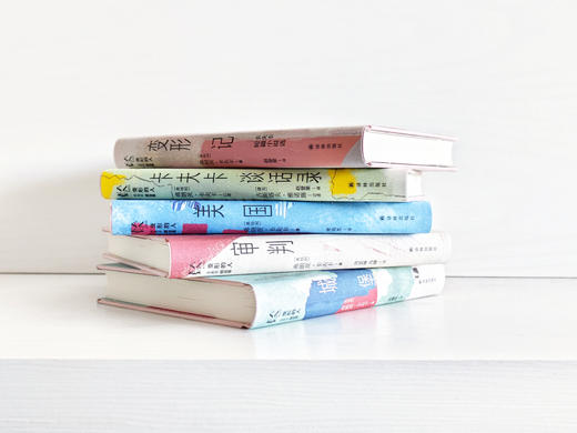 变形的人：卡夫卡精选集，卡夫卡去世百年纪念版 商品图7