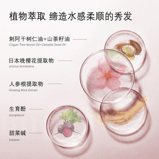 乌露 樱花春韵香氛护发乳 460ml/瓶 商品图3