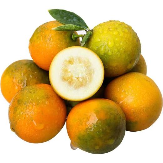滑皮金桔（500±50g） 商品图0