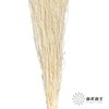 永生花材 | 小时草白色 商品缩略图1