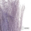 永生花材 | 小时草紫色 商品缩略图1