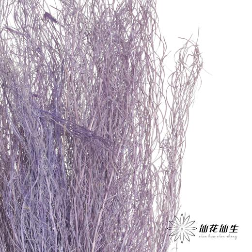 永生花材 | 小时草紫色 商品图1