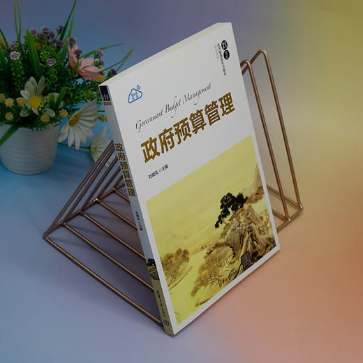 政府预算管理 商品图4