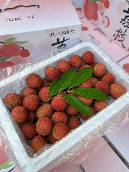 【白糖罂】白糖罂荔枝，海南荔枝 无水干荔枝，入口甘甜水润，可以尝鲜啦！ 商品图7