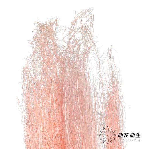 永生花材 | 小时草粉色 商品图3