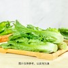 油麦菜（300±50g）莜麦菜 商品缩略图1