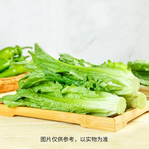 油麦菜（300±50g）莜麦菜 商品图1