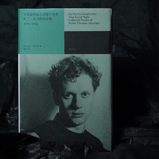 不要温顺地走进那个良宵 狄兰·托马斯诗合集1934-1952 商品图2