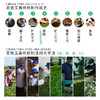 蓝焙绿茶恩施玉露富硒茶湖北高山蒸青雨前一级茶叶100克罐装口粮茶 商品缩略图5