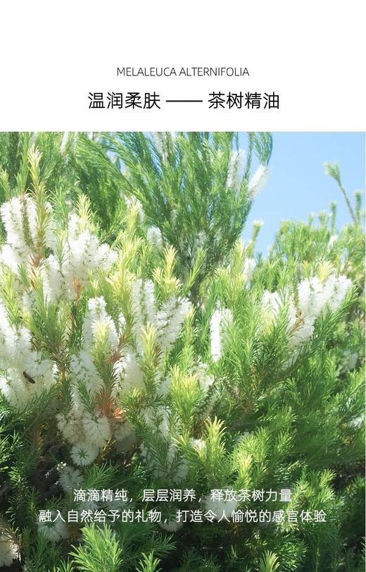 【中欧班列精选】澳洲进口 Oliviam澳莉维亚茶树净透洁面乳100ml 商品图1