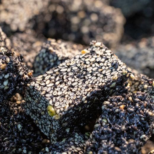 【无糖黑芝麻酥】粒大饱满的芝麻粒，一口下去，清爽酥脆得不得了！完全没有甜腻感，越嚼越香，简直停不下来！古法烘焙，只选当季优质黑芝麻，用麦芽糖醇代替白砂糖！规格：220g/袋 （20颗左右/袋） 商品图7