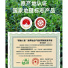 蓝焙2025年新茶明前春茶恩施玉露硒茶叶特级蒸青湖北绿茶一芽一叶罐装 商品缩略图4