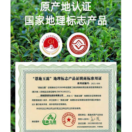 蓝焙2025年新茶明前春茶恩施玉露硒茶叶特级蒸青湖北绿茶一芽一叶罐装 商品图4