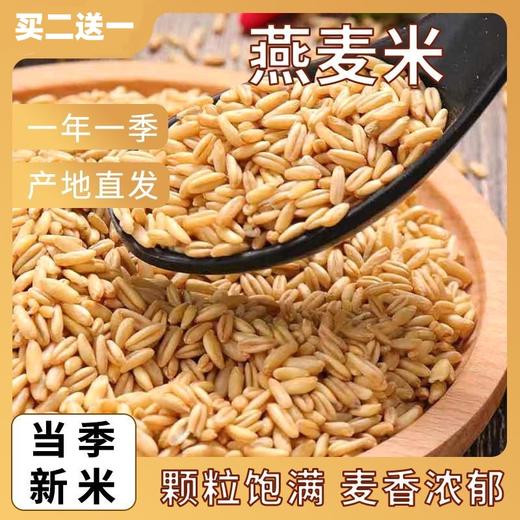【买2送1，燕麦米500g】当季新粮，纤长饱满，原色原香，弹糯细腻，营养满满！内蒙古胚芽煮粥五谷杂粮粗粮 商品图0