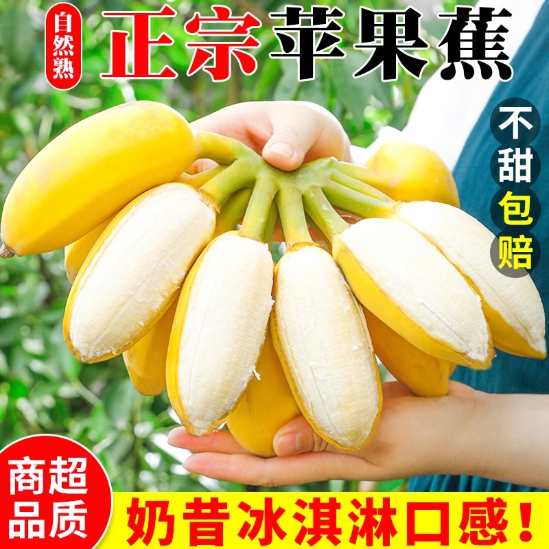 正宗苹果蕉香蕉新鲜水果9斤装