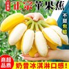 正宗苹果蕉香蕉新鲜水果9斤装 商品缩略图0