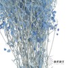 永生花材 | 梦幻星蓝色 商品缩略图1