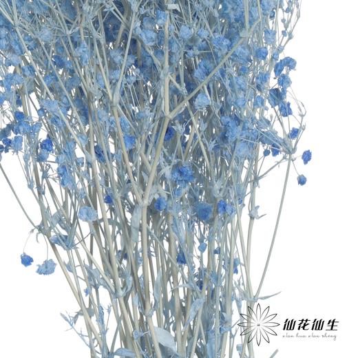 永生花材 | 梦幻星蓝色 商品图1