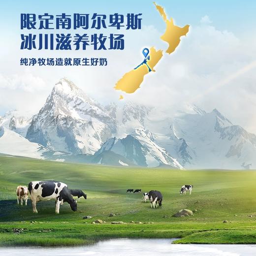 【商城优选】Westgold速溶全脂/脱脂奶粉1kg 新西兰原产地进口奶粉 高钙高蛋白 商品图2